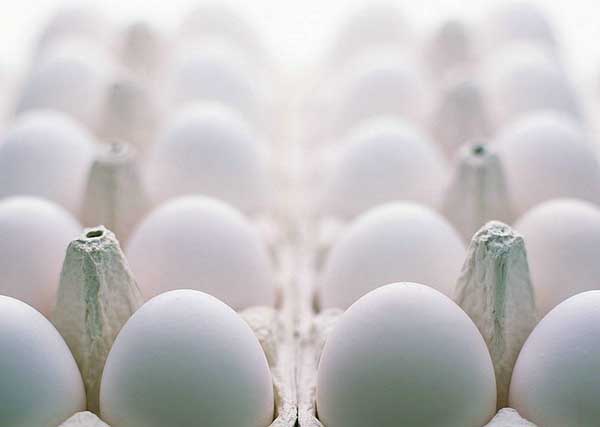 Egg:Nutritious Supplement..(￣︶￣)> 