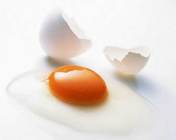 Egg:Nutritious Supplement..(￣︶￣)> 