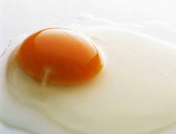 Egg:Nutritious Supplement..(￣︶￣)> 