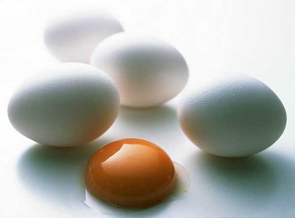 Egg:Nutritious Supplement..(￣︶￣)> 