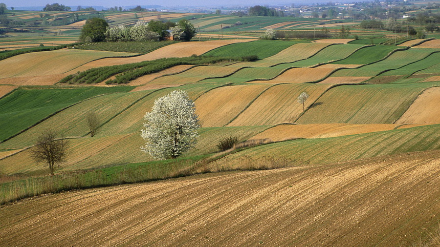 10. Plowed fields in Roztocze Region