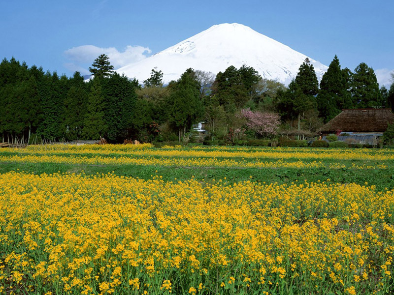 Mount Fuji •°•.° ღ.