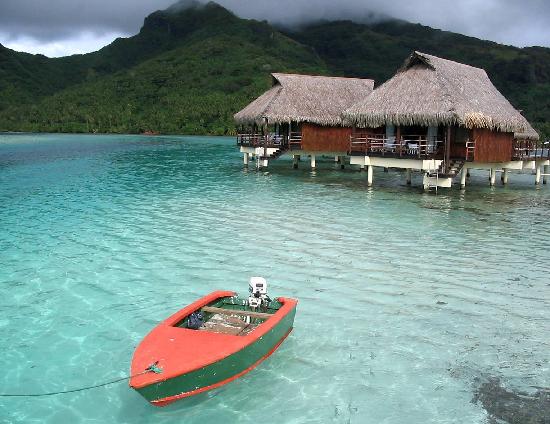 Teenee : Bora bora  ‘ﾟ･.｡.:* (o^.^o) 