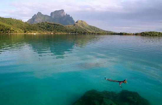 Teenee : Bora bora  ‘ﾟ･.｡.:* (o^.^o) 