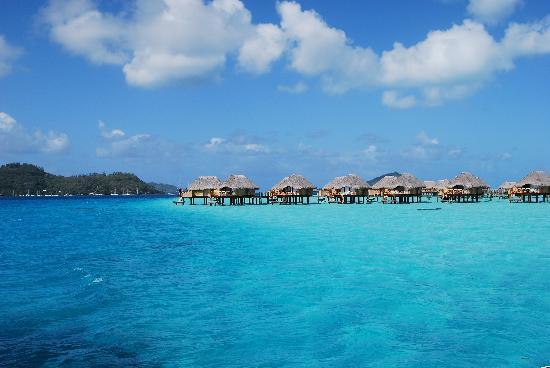 Teenee : Bora bora  ‘ﾟ･.｡.:* (o^.^o) 