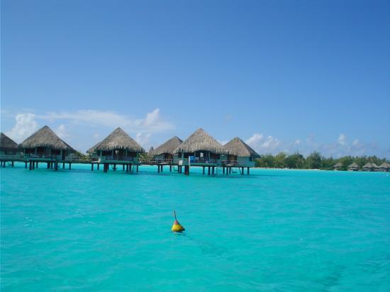 Teenee : Bora bora  ‘ﾟ･.｡.:* (o^.^o) 