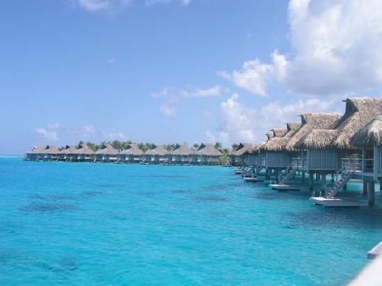 Teenee : Bora bora  ‘ﾟ･.｡.:* (o^.^o) 