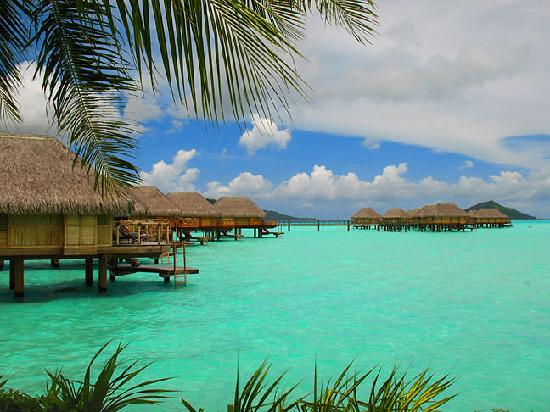 Teenee : Bora bora  ‘ﾟ･.｡.:* (o^.^o) 