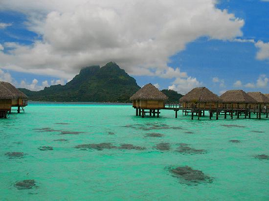 Teenee : Bora bora  ‘ﾟ･.｡.:* (o^.^o) 