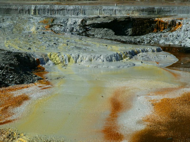 Whakarewarewa Overflow