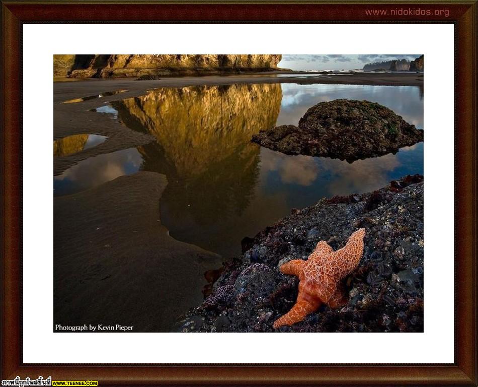 National Geographic Top 35 Photos of 2009 (2)