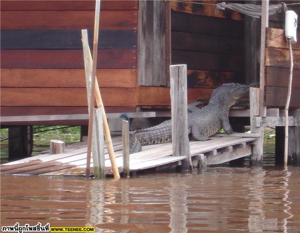 ธรรมเนียมไทยแต่โบราณ ใครมาถึงเรือนชาน ต้องต้อนรับ (หายไปไหนหมด)