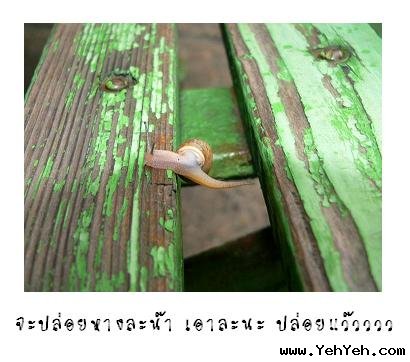 ~ความพยายามของหอยทาก~