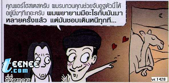 การ์ตูนขำ \"ณ ทะเลทรายแห่งหนึ่ง\"