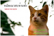 หมัดแมวสะท้านโลก...!!! ตอน 1