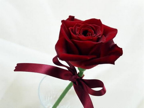 Roses ~ Symbol of Love