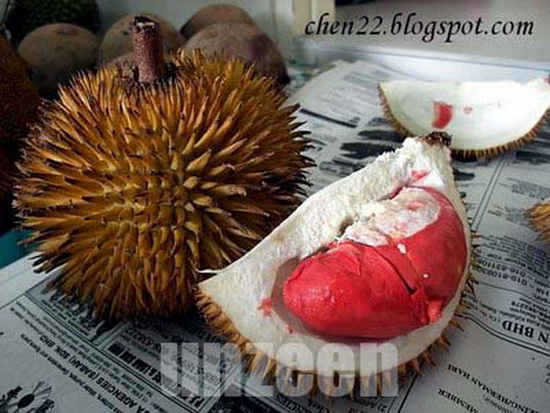 Red Durian!!