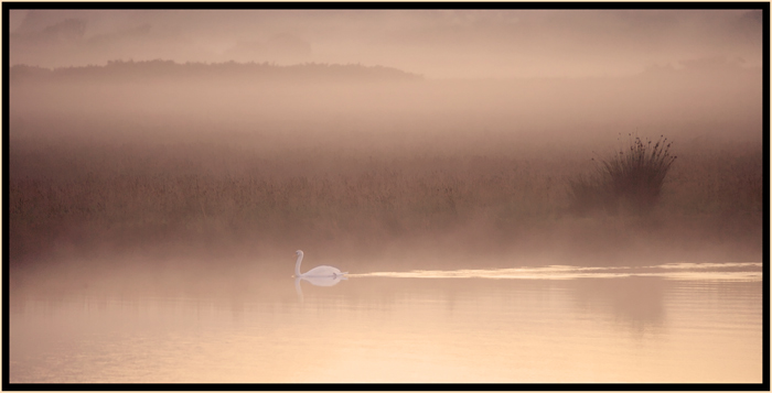 Rays of morning or evening sunshine