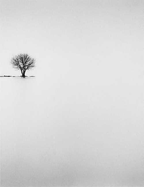 Silent beauty from Michael Kenna (2)  
