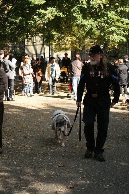 Creative Halloween dog costumes (3) 