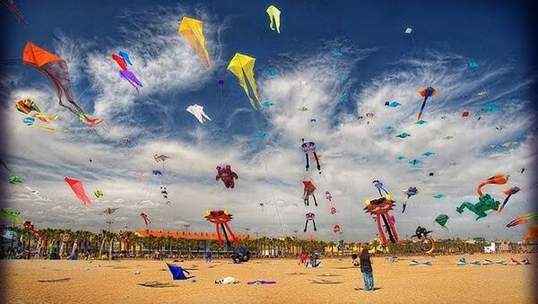 มหัศจรรย์ภาพถ่าย ที่หาดูได้ยาก 