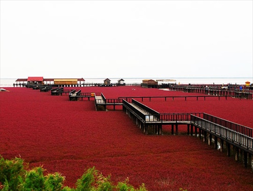 Red Beach หาดทรายสีแดงเลือด 