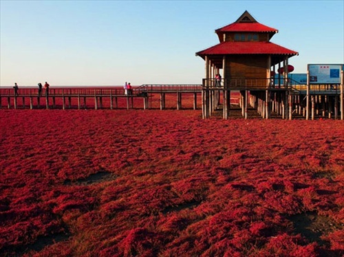 Red Beach หาดทรายสีแดงเลือด 