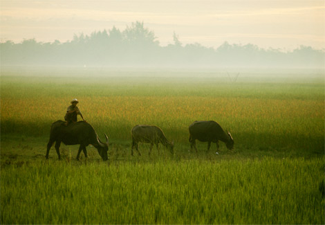 ภาพสวย ชุดในโลกของเรา