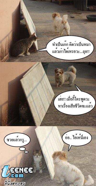 น่ารักมั้ย