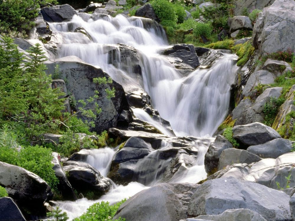 Paradise River, Mount Rainier National Park, Washington