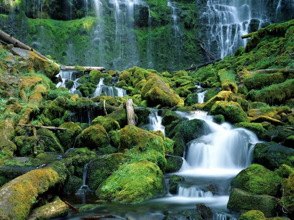 Proxy Falls, Cascade Range, Oregon