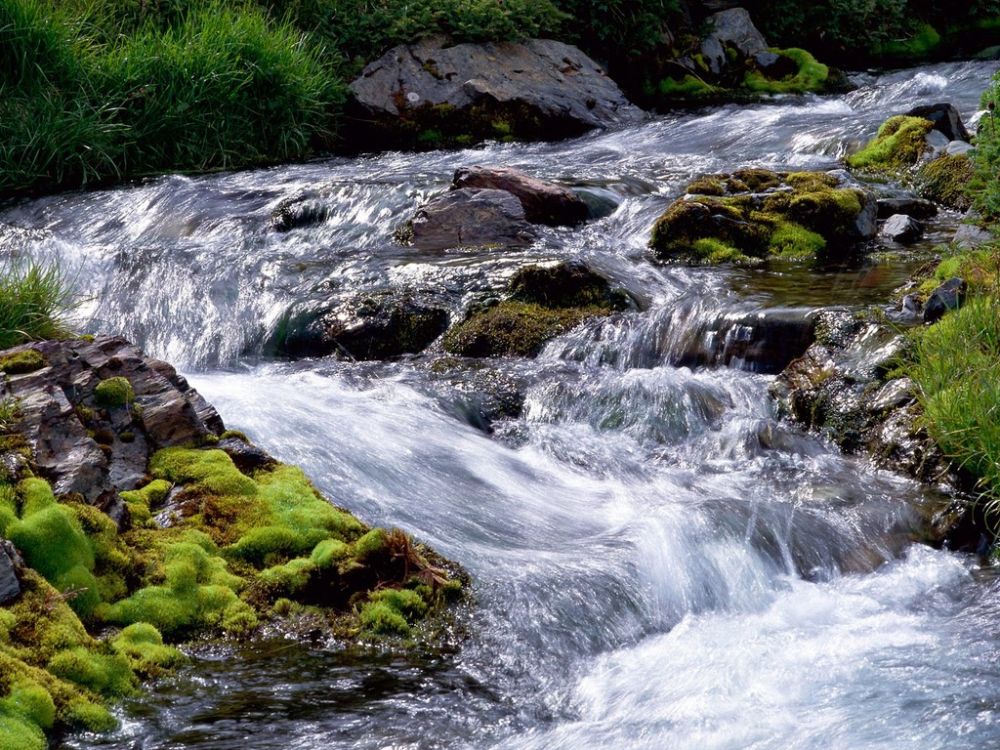 Rushing Waters, South Georgia Island