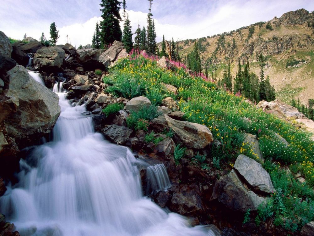 Grand Teton Wyoming