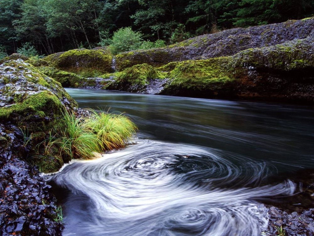 Swirling Eddy, Clackamas River, Oregon