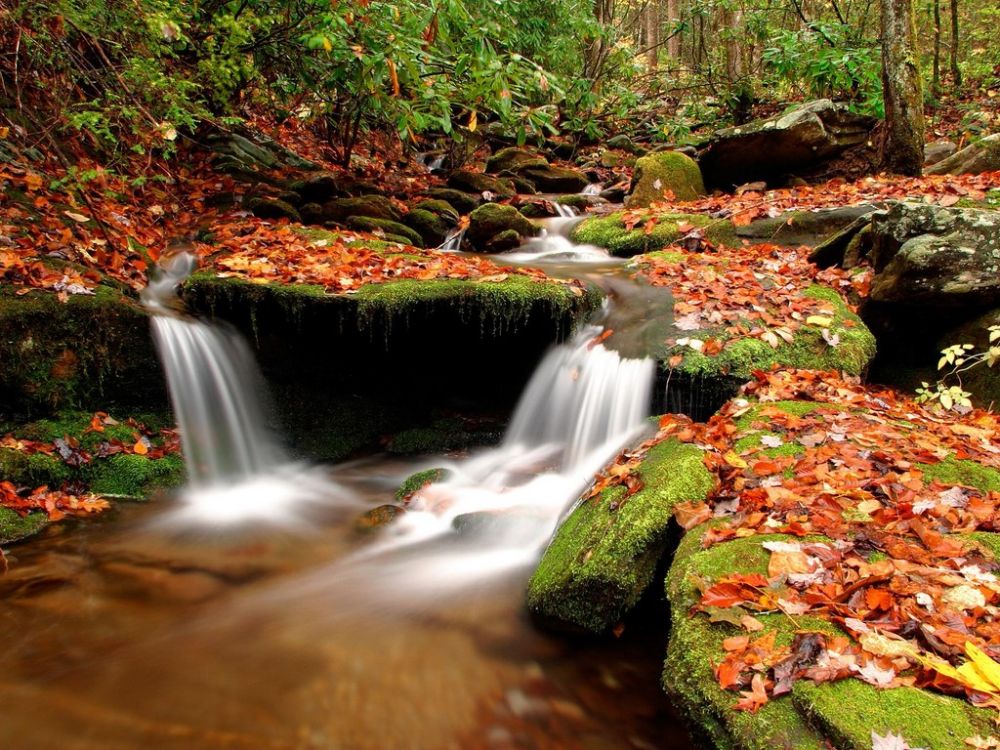 Wesser Creek in Autumn, Nantahala National Forest