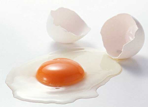 Egg:Nutritious Supplement..(￣︶￣)> 2