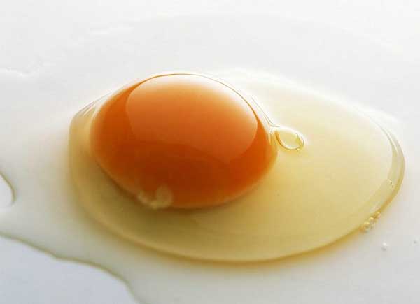 Egg:Nutritious Supplement..(￣︶￣)> 2