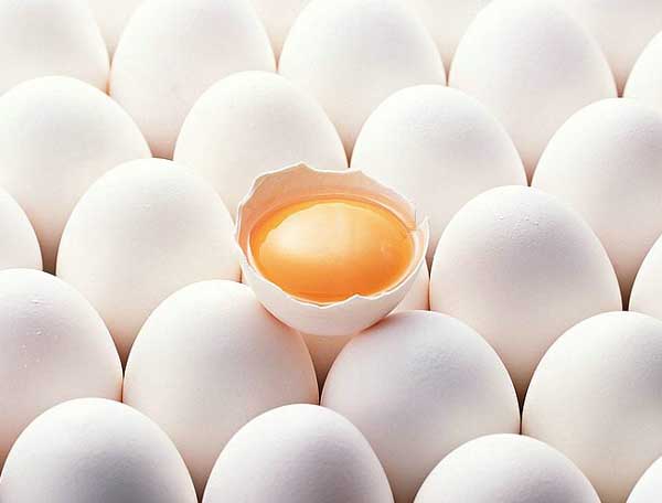 Egg:Nutritious Supplement..(￣︶￣)> 2