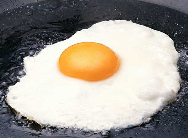 Egg:Nutritious Supplement..(￣︶￣)> 2