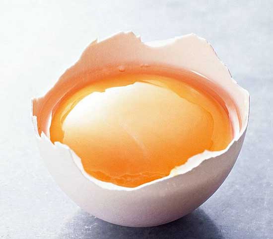 Egg:Nutritious Supplement..(￣︶￣)> 2