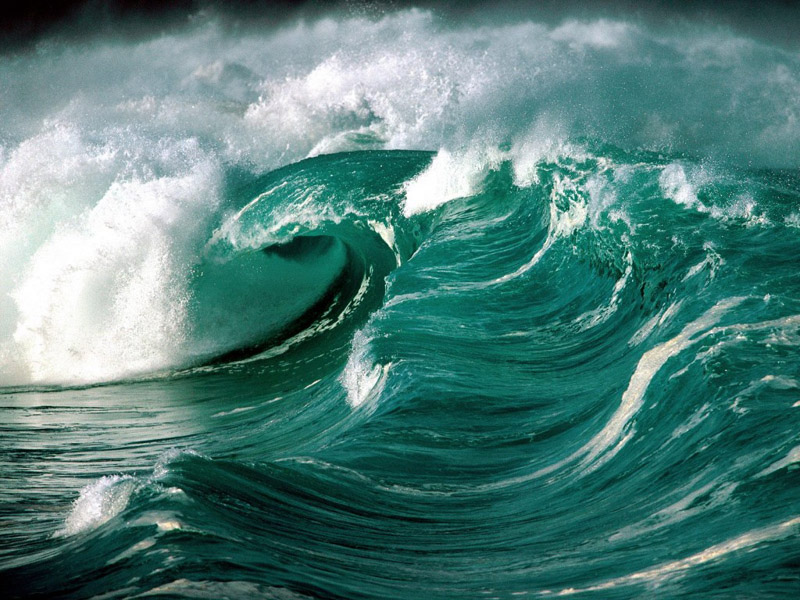 wave .•°•.° (o^.^o) 