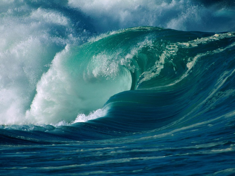 wave .•°•.° (o^.^o) 