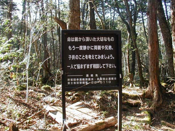 Aokigahara ป่าแห่งความตาย ™