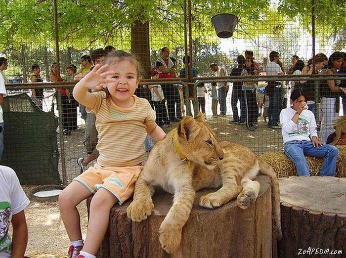 ♣ Zoo Where You Can Even Touch The Dangerous Animals ♣ 