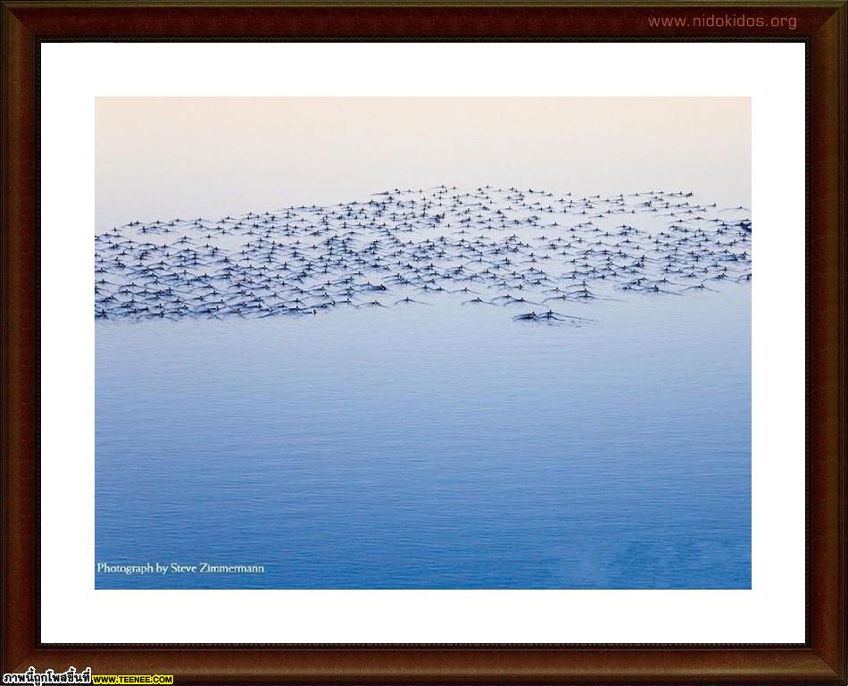 National Geographic Top 35 Photos of 2009 (3)