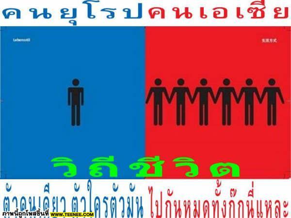 ความเเตกต่างคนยุโรปกับคนเอเชีย