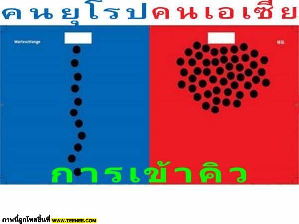 ความเเตกต่างคนยุโรปกับคนเอเชีย