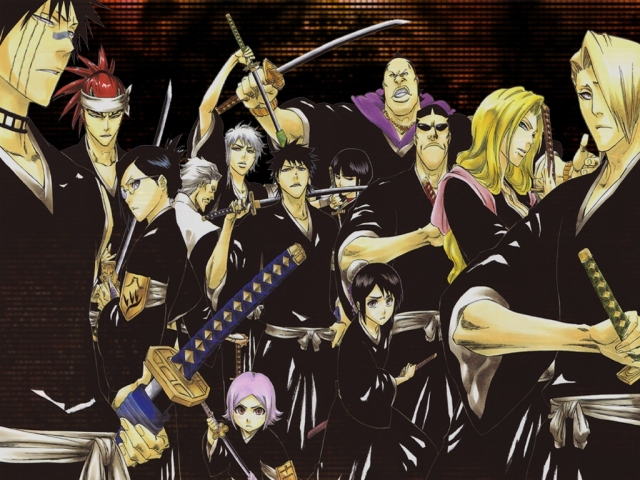 BLEACH >>>13 หน่วยพิทักษ์>>(แก้ไขแล้ว..หรือป่าว..แหะๆๆ)