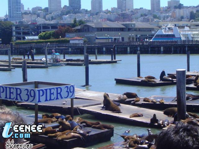 PIER 39