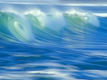 wave .•°•.° (o^.^o) 